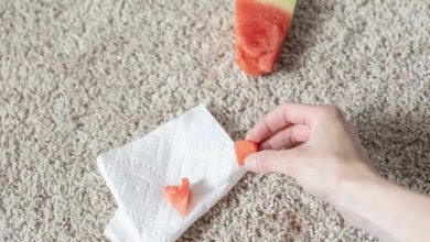 پاک کردن لکه هندوانه