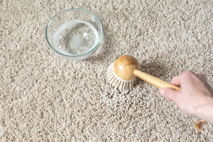 پاک کردن لکه هندوانه- محلول تمیز کننده روی فرش آغشته به هندوانه با برس نرم