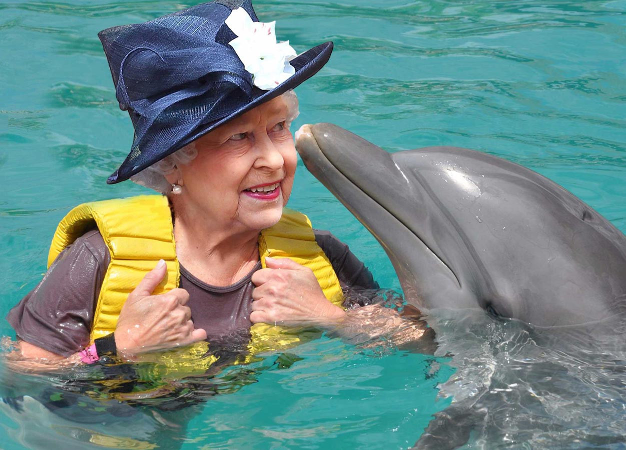 عجیب ترین اختیارات ملکه الیزابت-دیدن دلفین