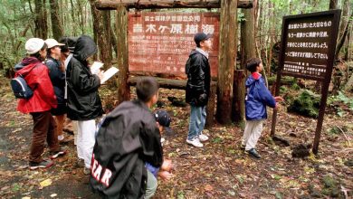 جنگل خودکشی ژاپن