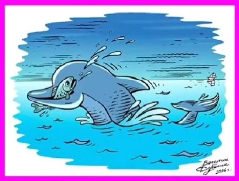 تست بینایی دلفین