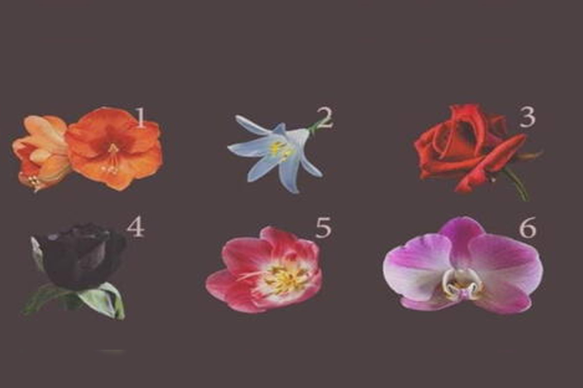 تست شخصیت احساسات-کدام گل را دوست دارید؟