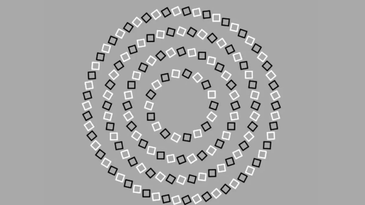 تست بینایی دایره-چند دایره در این تصویر وجود دارد؟