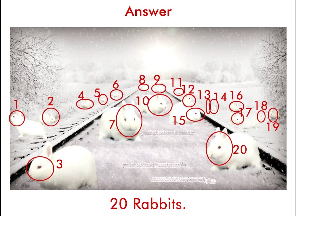 جواب تست بینایی خرگوش