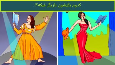 آزمون شناسایی هنرمند فیک