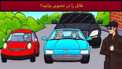 آزمون هوش گیج کننده