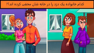 آزمون شناسایی دزد مخفی