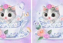 معمای تصویری گربه درون فنجان ها