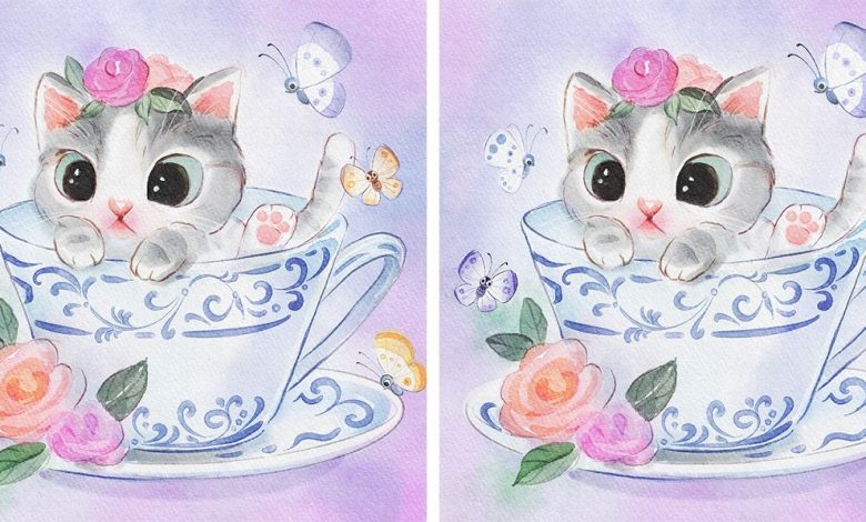معمای تصویری گربه درون فنجان ها