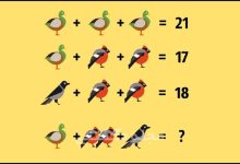 آزمون ریاضی چالشی پرنده