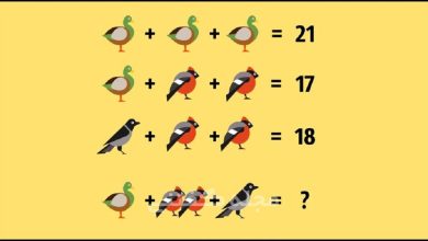 آزمون ریاضی چالشی پرنده