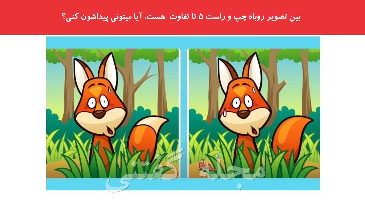 آزمون شناسایی تفاوت تصویر روباه