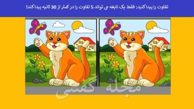 آزمون شناسایی تفاوت گربه