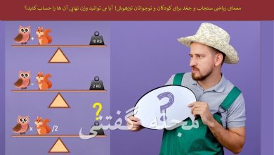 معمای ریاضی سنجاب و جغد