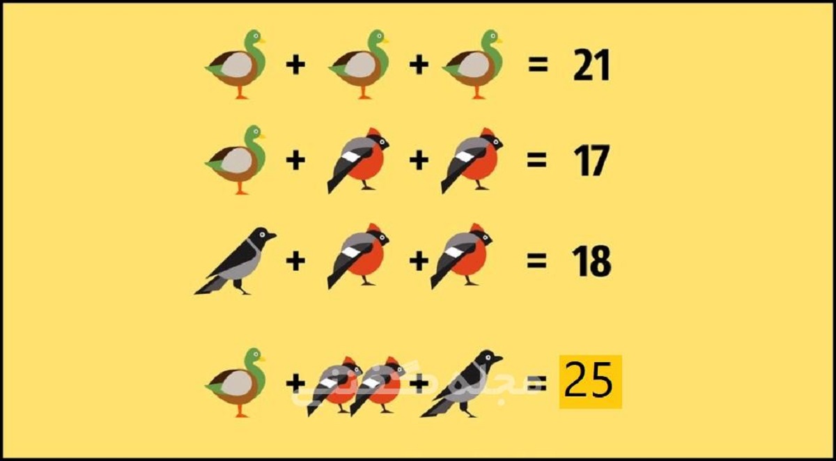 پاسخ آزمون ریاضی چالشی پرنده