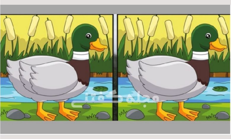 آزمون تفاوت تصویری اردک-1