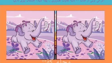 آزمون تفاوت تصویری بچه فیل بازیگوش