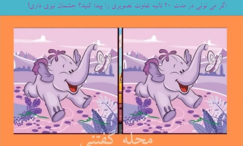 آزمون تفاوت تصویری بچه فیل بازیگوش