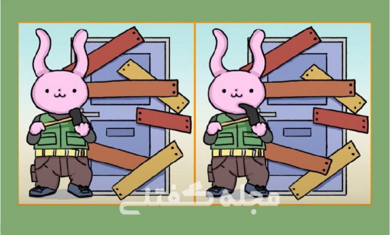 آزمون تفاوت تصویری خرگوش-1