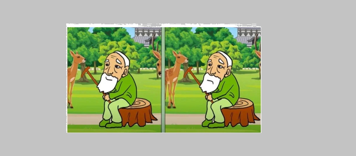 آزمون شناسایی تفاوت تصویری پیرمرد