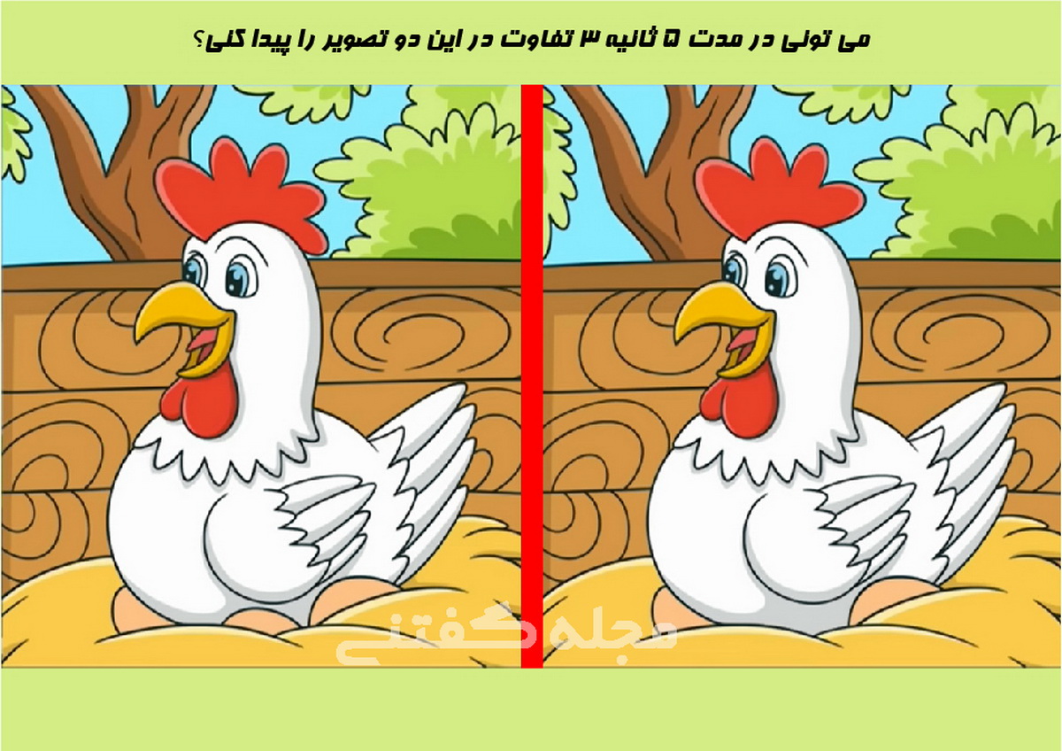 آزمون شناسایی تفاوت مرغ با مزه-1