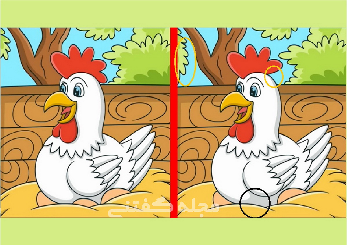 آزمون شناسایی تفاوت مرغ با مزه-پاسخ