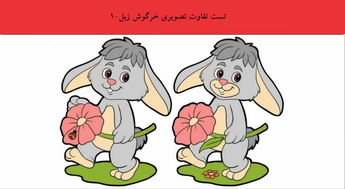 تست تفاوت تصویری خرگوش زبل-1