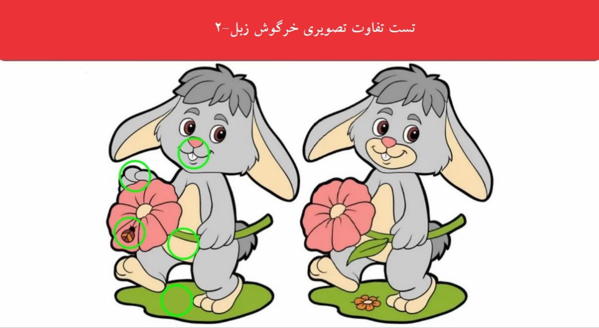 تست تفاوت تصویری خرگوش زبل-2