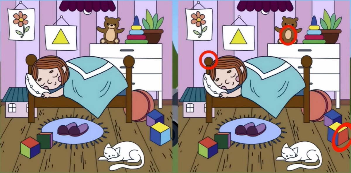 تست تفاوت تصویری اتاق دخترک خوشخواب-2