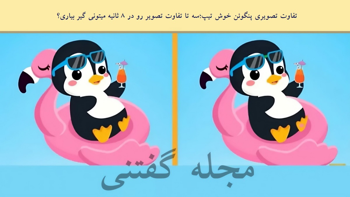 تفاوت تصویری پنگوئن خوش تیپ 1