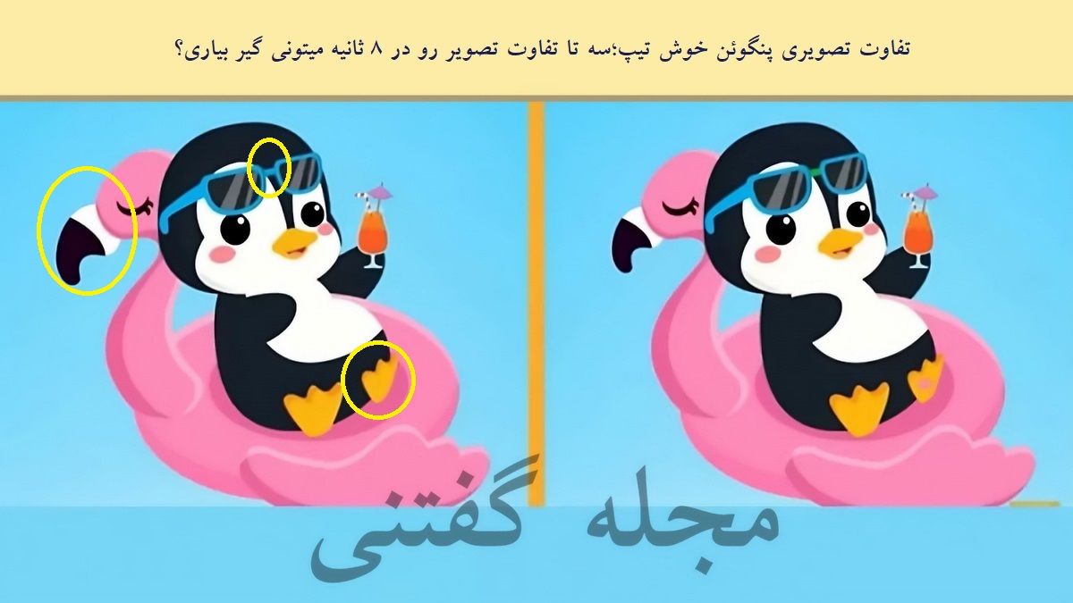 تفاوت تصویری پنگوئن خوش تیپ 2