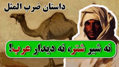 ضرب المثل نه شیر شتر نه دیدار عرب