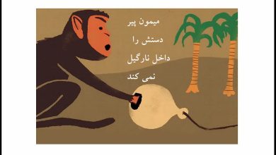میمون پیر دستش را داخل نارگیل نمی کند.