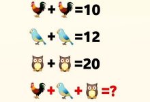 آزمون هوش ریاضی پرندگان