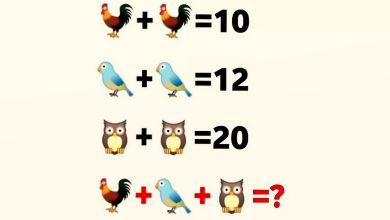 آزمون هوش ریاضی پرندگان