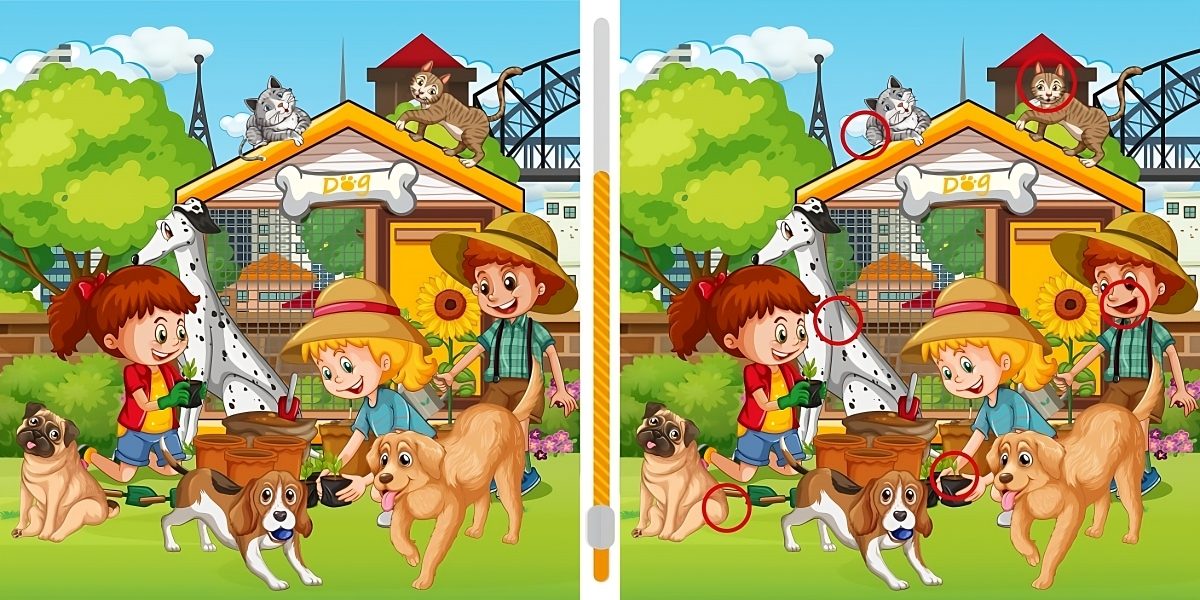 تفاوت تصویر کودکان و حیوانات شاداب-2