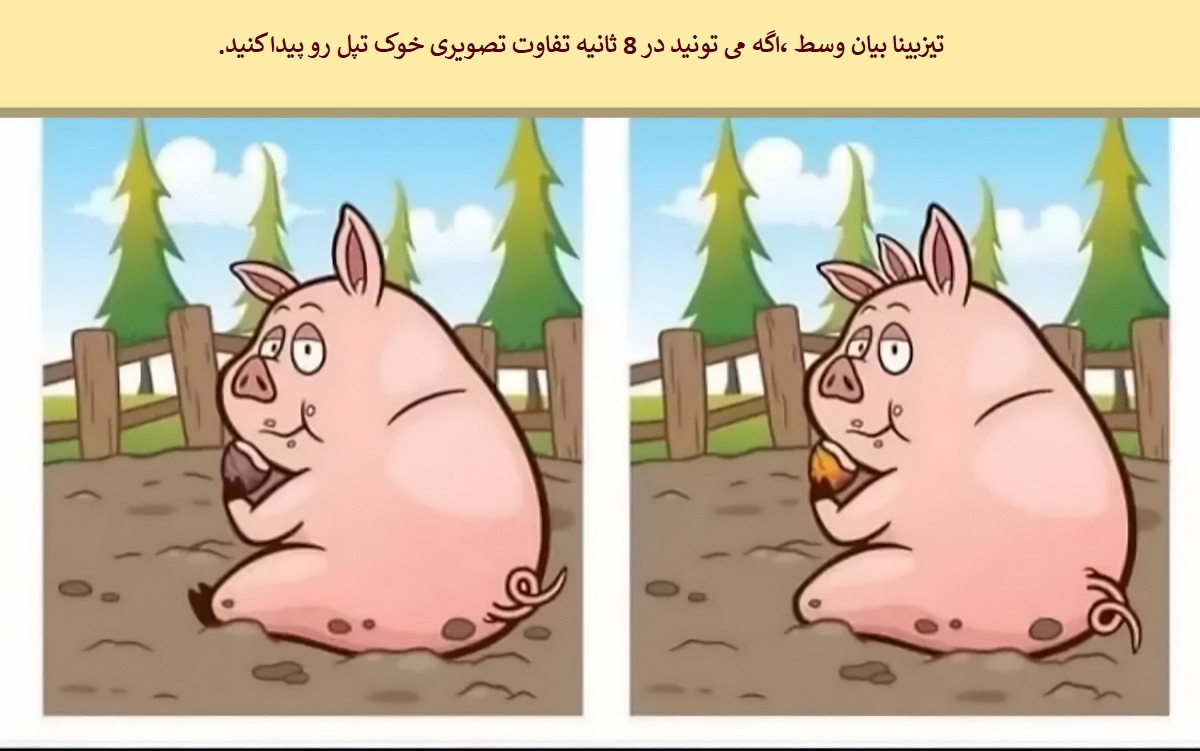 تفاوت تصویری خوک تپل 1