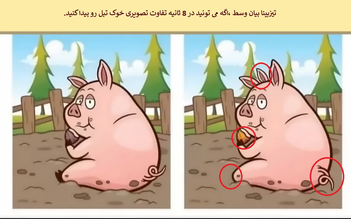 تفاوت تصویری خوک تپل 2