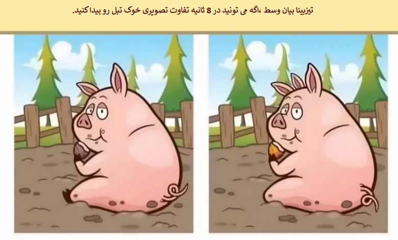 تفاوت تصویری خوک تپل