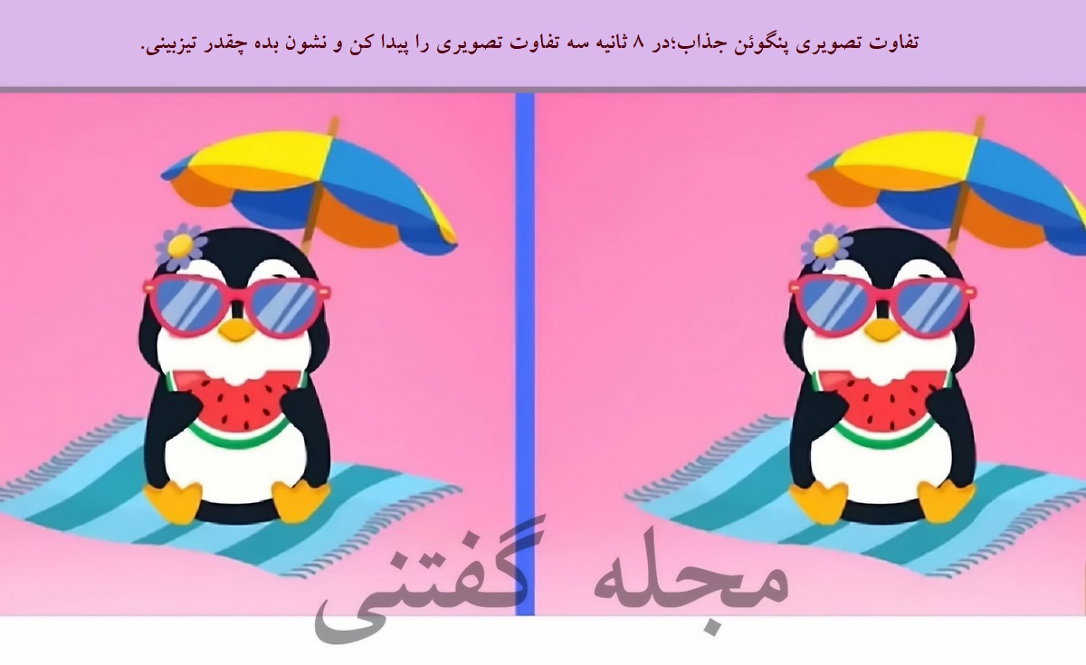 تفاوت تصویری پنگوئن جذاب 1