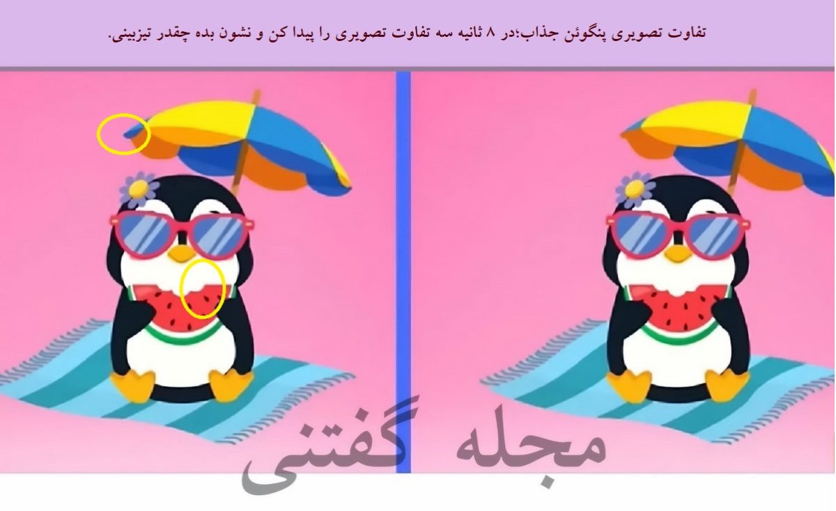 تفاوت تصویری پنگوئن جذاب 2