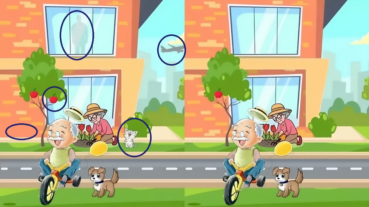 تفاوت تصویری پیرمرد دوچرخه سوار 2