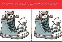تفاوت تصویری گربه های بازیگوش