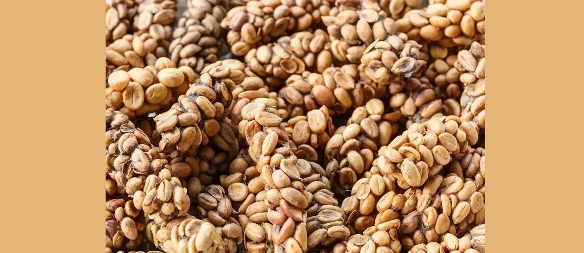 عجیب ترین سوغاتی های جهان6