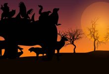 تست بینایی تشخیص حیوانات
