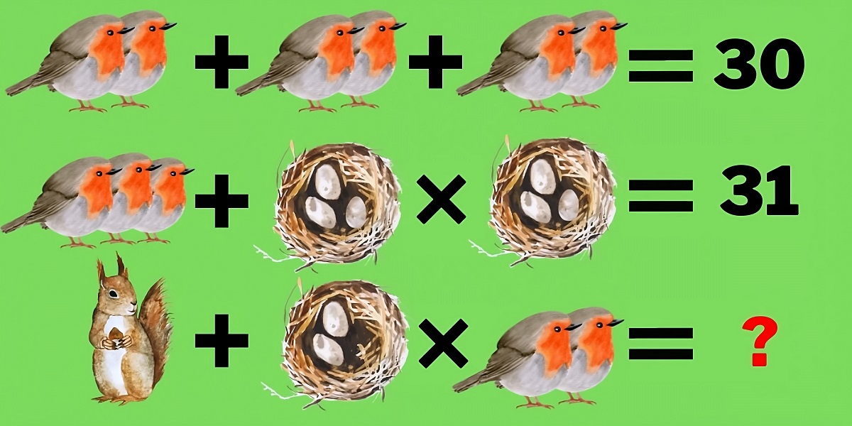 تست هوش تصویری ریاضی پرنده-1