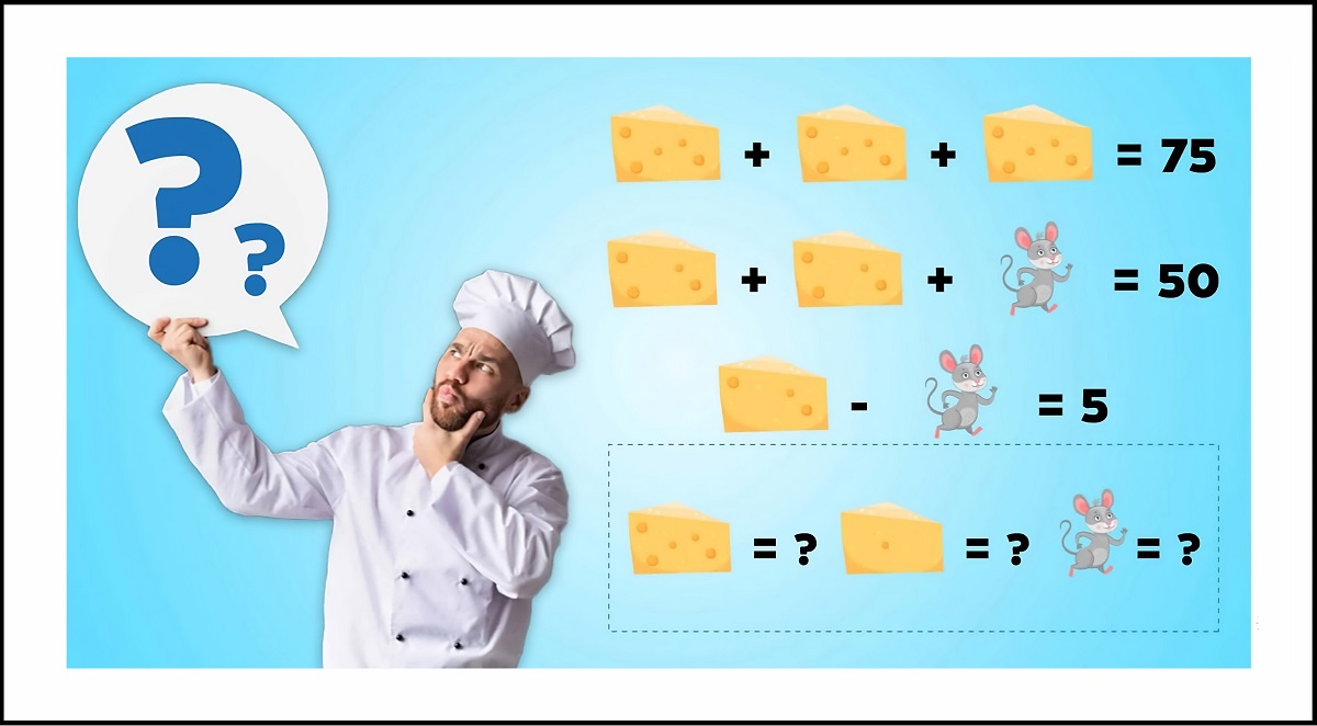 تست هوش ریاضی موش و پنیر-1