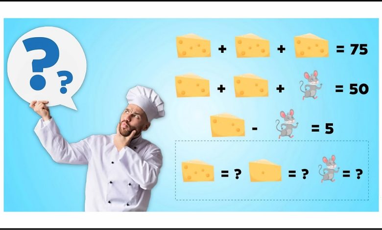 تست هوش ریاضی موش و پنیر