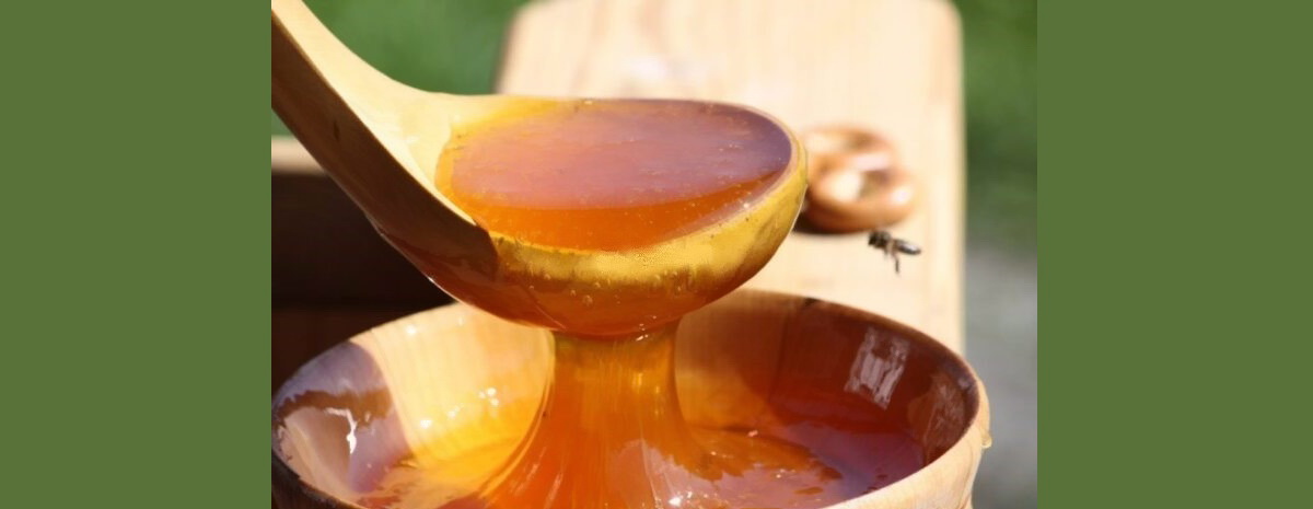 تشخیص عسل تقلبی3