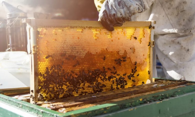 تشخیص عسل تقلبی4
